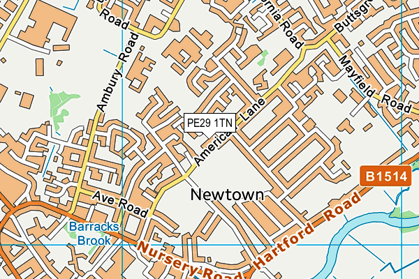 PE29 1TN map - OS VectorMap District (Ordnance Survey)