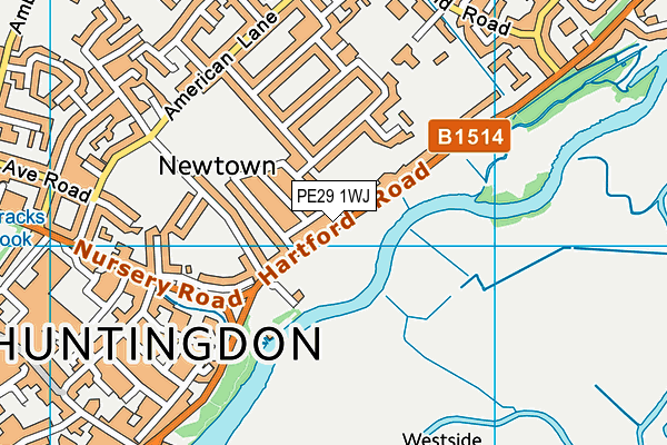 PE29 1WJ map - OS VectorMap District (Ordnance Survey)