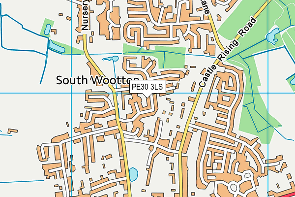 PE30 3LS map - OS VectorMap District (Ordnance Survey)
