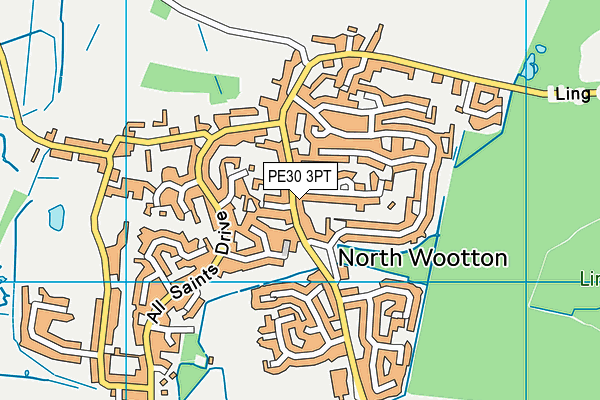North Wootton Academy map (PE30 3PT) - OS VectorMap District (Ordnance Survey)