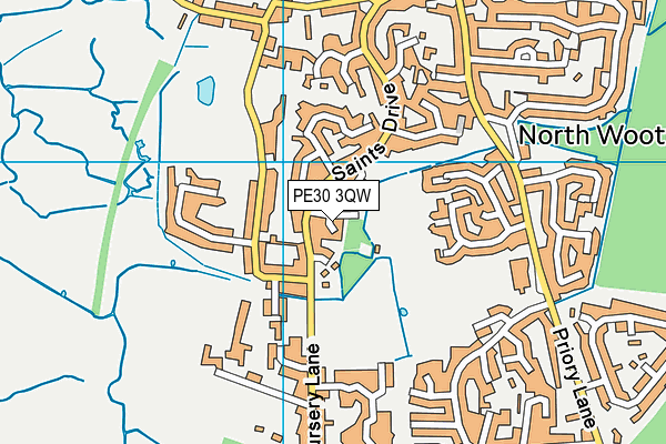 Wootton Park map (PE30 3QW) - OS VectorMap District (Ordnance Survey)
