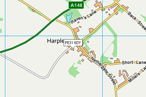 Harpley CofE VC Primary School map (PE31 6DY) - OS VectorMap District (Ordnance Survey)