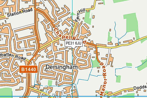 PE31 6JU map - OS VectorMap District (Ordnance Survey)