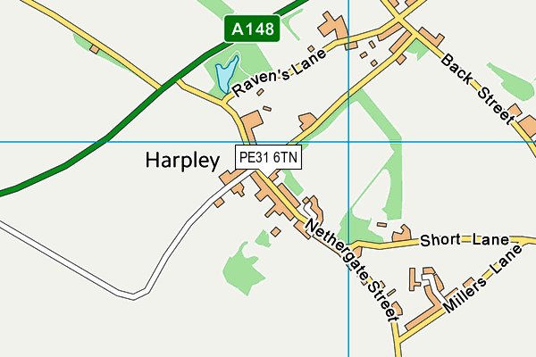 PE31 6TN map - OS VectorMap District (Ordnance Survey)