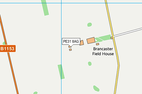 PE31 8AG map - OS VectorMap District (Ordnance Survey)