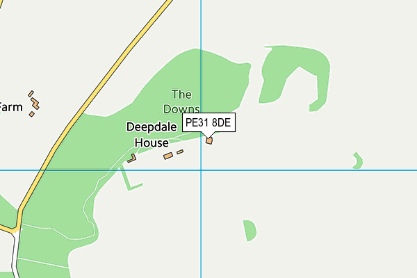 PE31 8DE map - OS VectorMap District (Ordnance Survey)