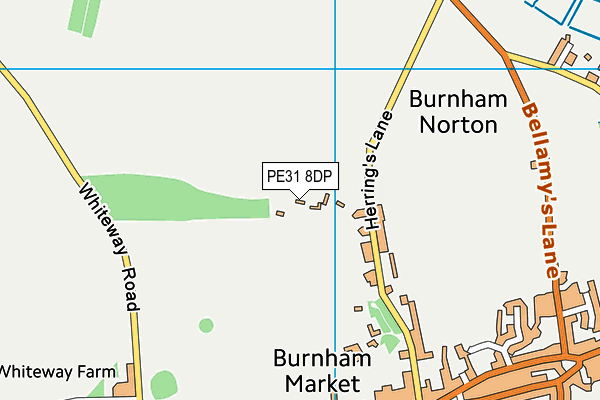 PE31 8DP map - OS VectorMap District (Ordnance Survey)