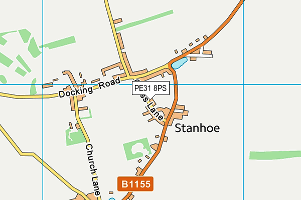 Cross Lane Playing Field map (PE31 8PS) - OS VectorMap District (Ordnance Survey)