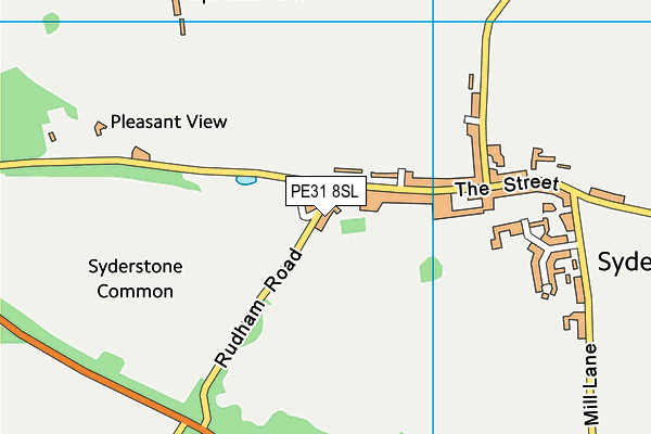 PE31 8SL map - OS VectorMap District (Ordnance Survey)