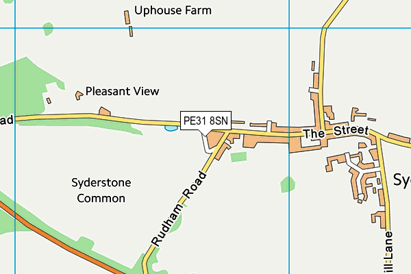 PE31 8SN map - OS VectorMap District (Ordnance Survey)