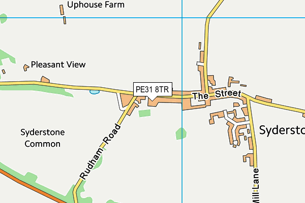 PE31 8TR map - OS VectorMap District (Ordnance Survey)