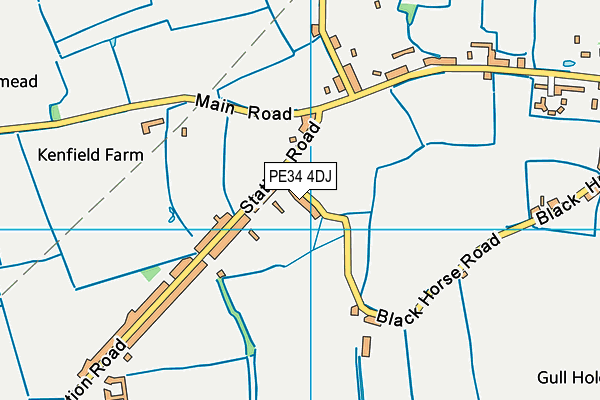 PE34 4DJ map - OS VectorMap District (Ordnance Survey)