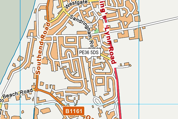 PE36 5DS map - OS VectorMap District (Ordnance Survey)