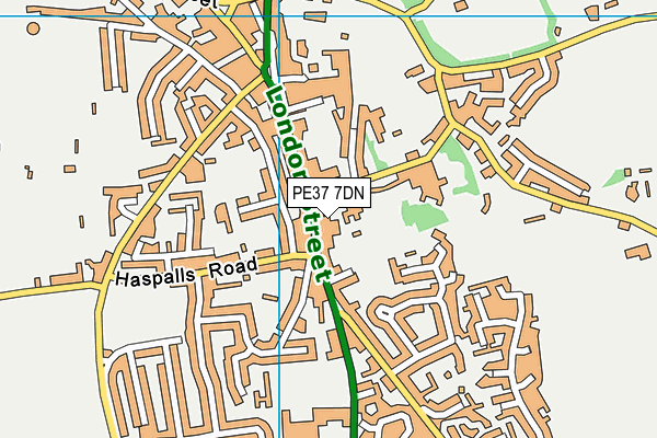 PE37 7DN map - OS VectorMap District (Ordnance Survey)