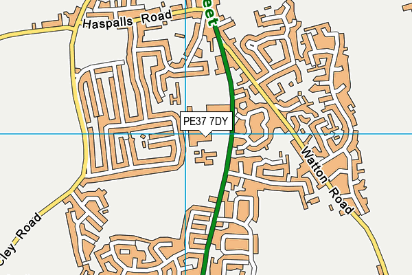 Swaffham Leisure Centre map (PE37 7DY) - OS VectorMap District (Ordnance Survey)