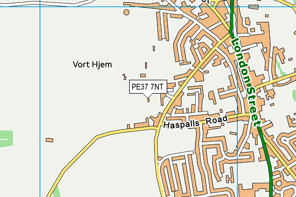 Swaffham Town Fc map (PE37 7NT) - OS VectorMap District (Ordnance Survey)