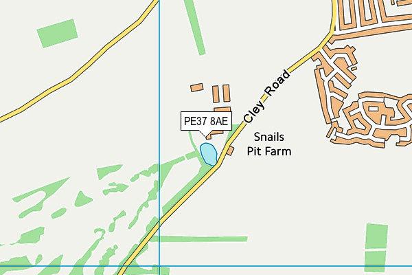 PE37 8AE map - OS VectorMap District (Ordnance Survey)