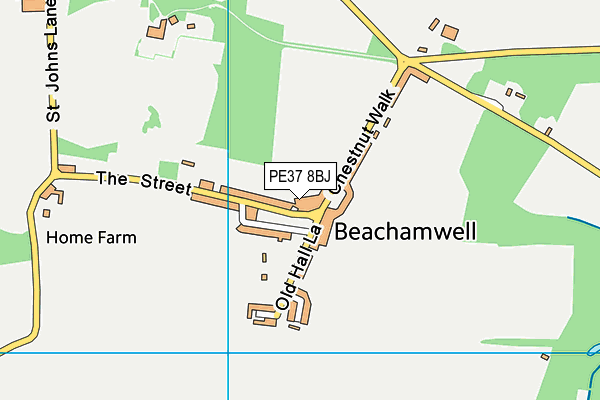 PE37 8BJ map - OS VectorMap District (Ordnance Survey)