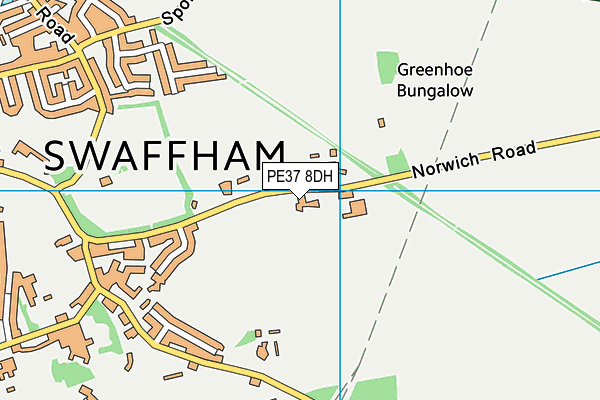PE37 8DH map - OS VectorMap District (Ordnance Survey)