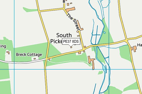 PE37 8DS map - OS VectorMap District (Ordnance Survey)