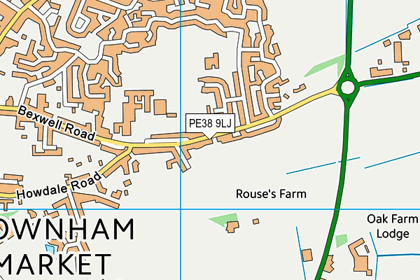 PE38 9LJ map - OS VectorMap District (Ordnance Survey)