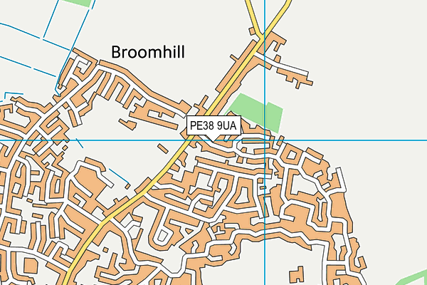 PE38 9UA map - OS VectorMap District (Ordnance Survey)