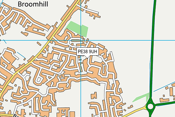 PE38 9UH map - OS VectorMap District (Ordnance Survey)