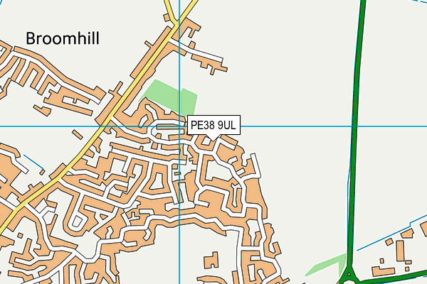PE38 9UL map - OS VectorMap District (Ordnance Survey)