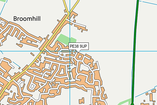 PE38 9UP map - OS VectorMap District (Ordnance Survey)