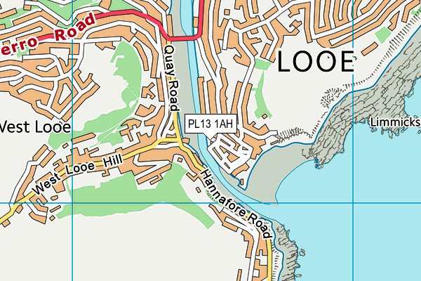 PL13 1AH map - OS VectorMap District (Ordnance Survey)