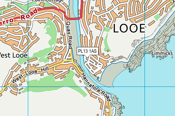 PL13 1AS map - OS VectorMap District (Ordnance Survey)