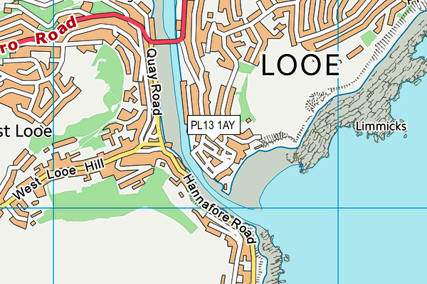 PL13 1AY map - OS VectorMap District (Ordnance Survey)