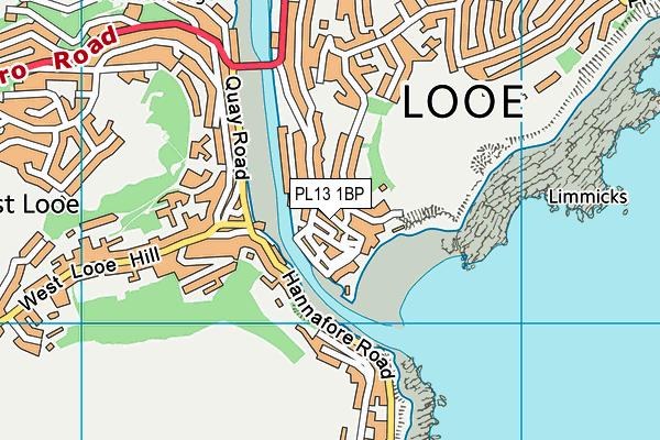 PL13 1BP map - OS VectorMap District (Ordnance Survey)