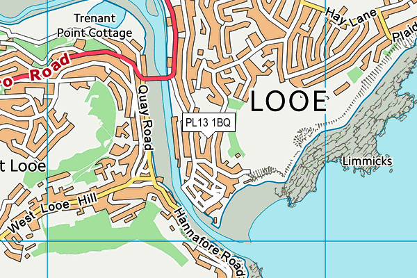 PL13 1BQ map - OS VectorMap District (Ordnance Survey)