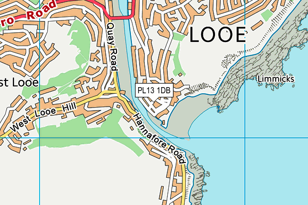 PL13 1DB map - OS VectorMap District (Ordnance Survey)