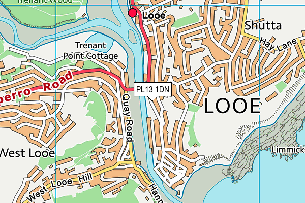 PL13 1DN map - OS VectorMap District (Ordnance Survey)