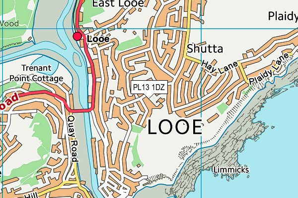 PL13 1DZ map - OS VectorMap District (Ordnance Survey)