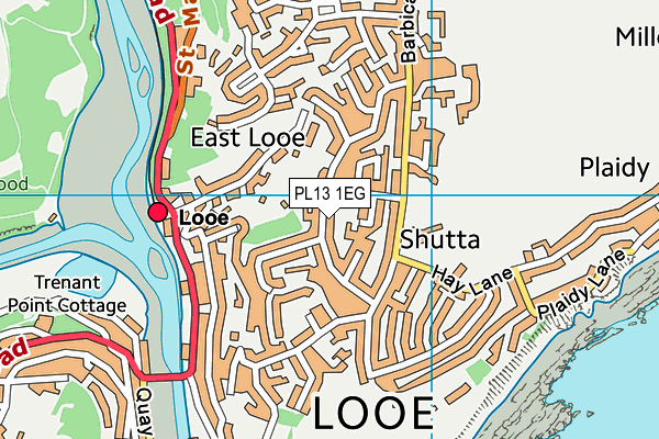 PL13 1EG map - OS VectorMap District (Ordnance Survey)