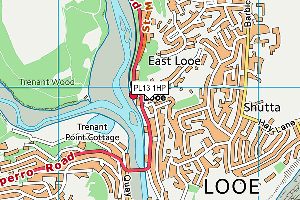 PL13 1HP map - OS VectorMap District (Ordnance Survey)