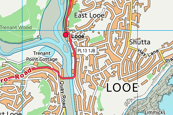 PL13 1JB map - OS VectorMap District (Ordnance Survey)