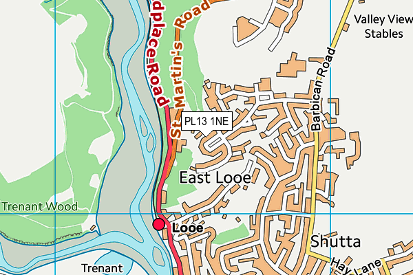 PL13 1NE map - OS VectorMap District (Ordnance Survey)