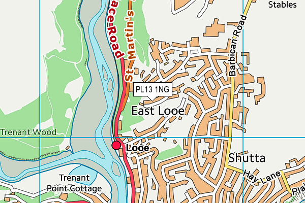 PL13 1NG map - OS VectorMap District (Ordnance Survey)