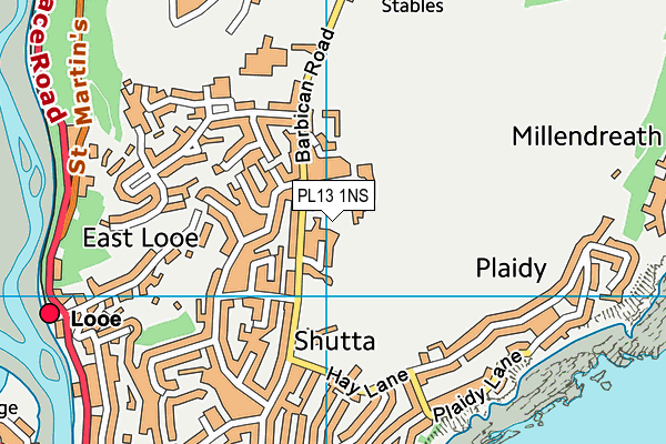 PL13 1NS map - OS VectorMap District (Ordnance Survey)
