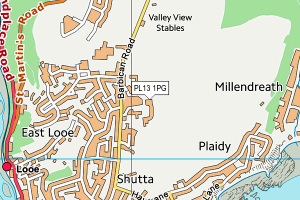 Barbican Sports Field map (PL13 1PG) - OS VectorMap District (Ordnance Survey)