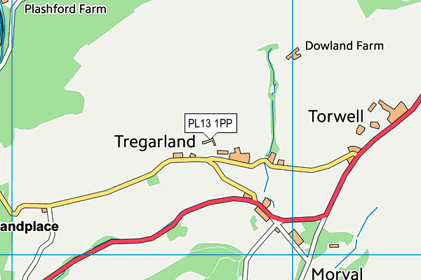 PL13 1PP map - OS VectorMap District (Ordnance Survey)