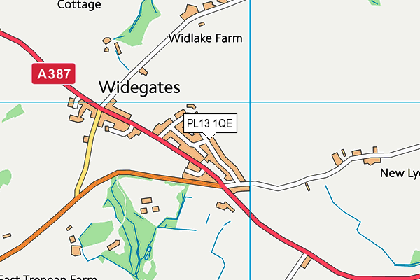 PL13 1QE map - OS VectorMap District (Ordnance Survey)