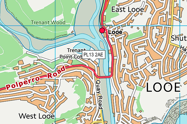 PL13 2AE map - OS VectorMap District (Ordnance Survey)