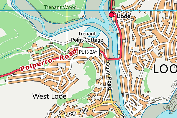 PL13 2AY map - OS VectorMap District (Ordnance Survey)