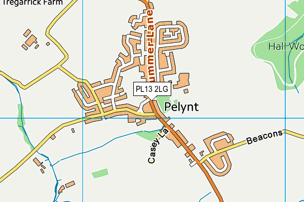 Pelynt School map (PL13 2LG) - OS VectorMap District (Ordnance Survey)