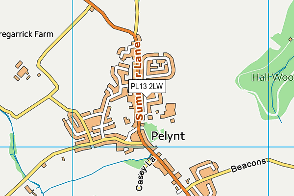 PL13 2LW map - OS VectorMap District (Ordnance Survey)